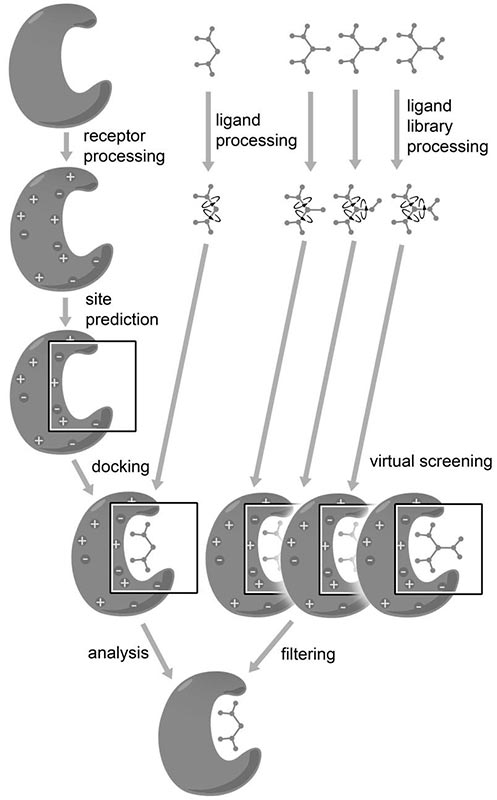 Autodock fig02