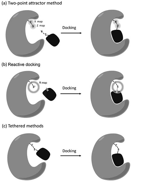 Autodock fig06