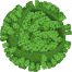 virus3 66x661