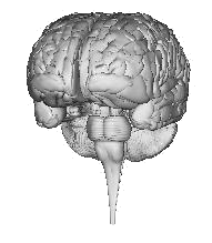 mindmodeling