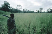 Plaine du Kilombero